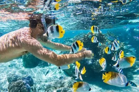 Crociera Nilo e Marsa Alam | Tour 8 Giorni